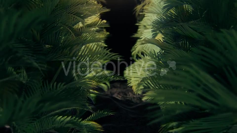 The Palms 2 Videohive 19272395 Motion Graphics Image 2