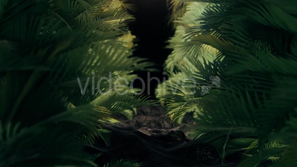 The Palms 2 Videohive 19272395 Motion Graphics Image 3