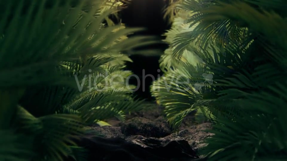 The Palms 2 Videohive 19272395 Motion Graphics Image 4
