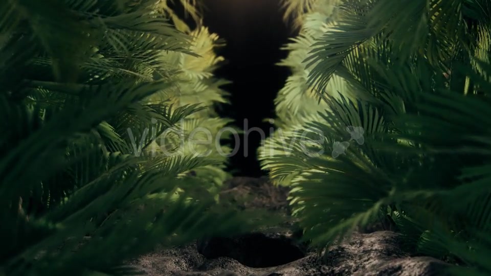 The Palms 2 Videohive 19272395 Motion Graphics Image 5