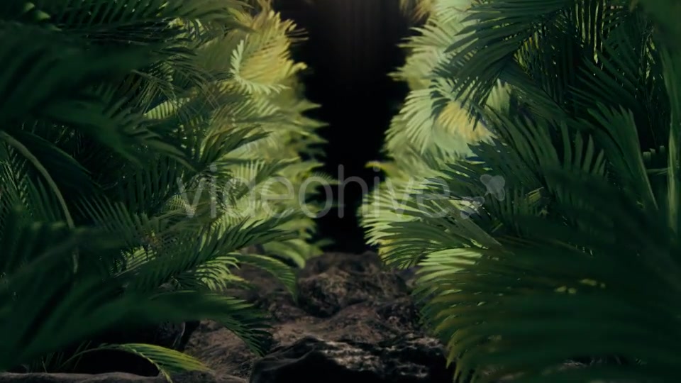 The Palms 2 Videohive 19272395 Motion Graphics Image 6