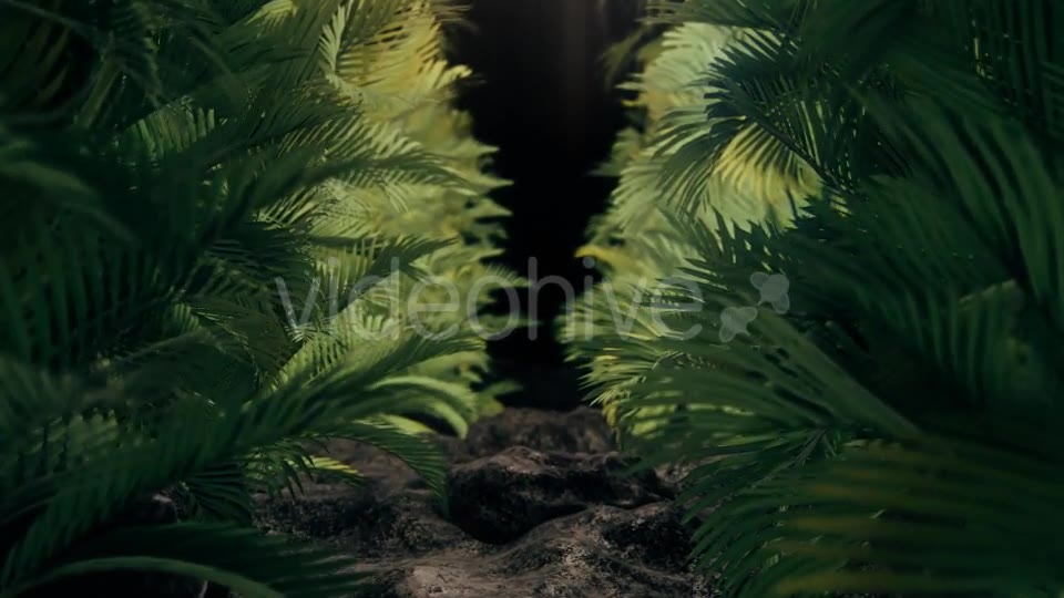 The Palms 2 Videohive 19272395 Motion Graphics Image 7