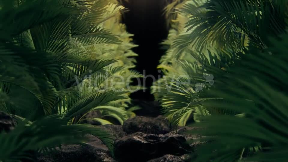 The Palms 2 Videohive 19272395 Motion Graphics Image 8