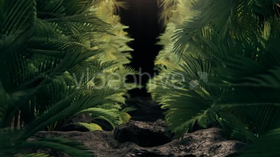 The Palms 2 Videohive 19272395 Motion Graphics Image 9