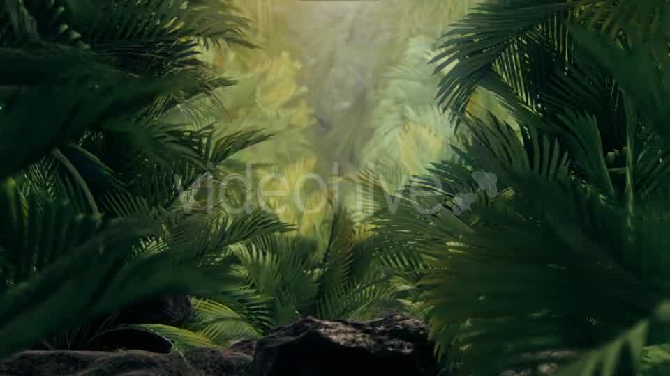 The Palms 4 Videohive 19284393 Motion Graphics Image 10