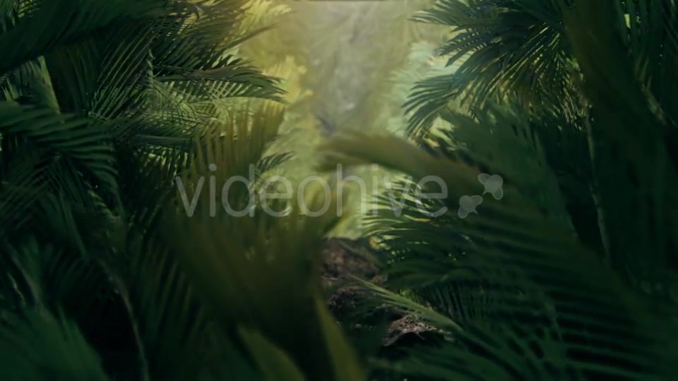 The Palms 4 Videohive 19284393 Motion Graphics Image 4