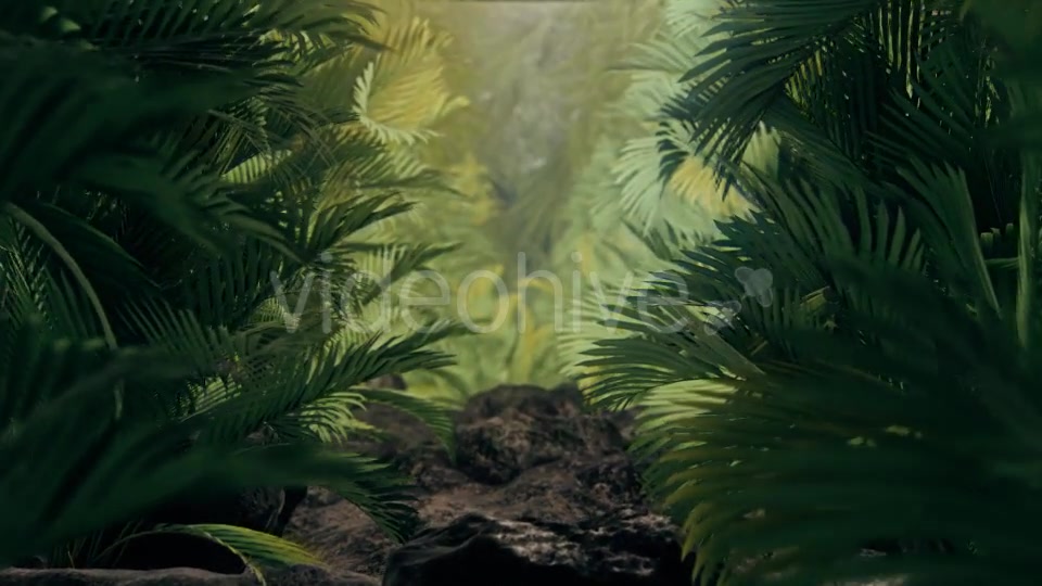 The Palms 4 Videohive 19284393 Motion Graphics Image 6