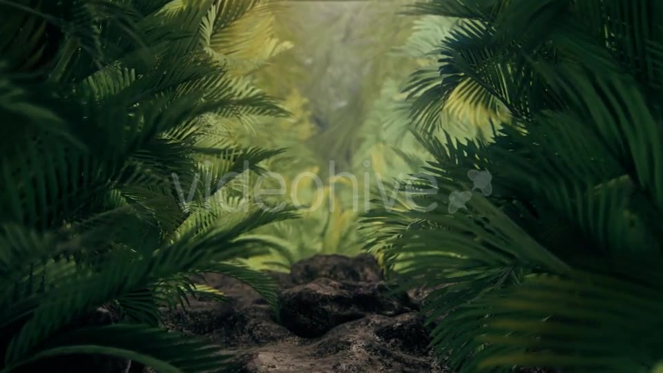The Palms 4 Videohive 19284393 Motion Graphics Image 7