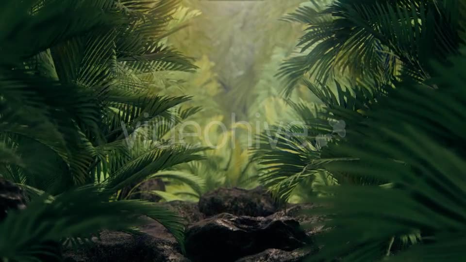 The Palms 4 Videohive 19284393 Motion Graphics Image 8