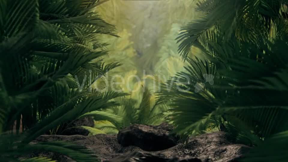 The Palms 4 Videohive 19284393 Motion Graphics Image 9
