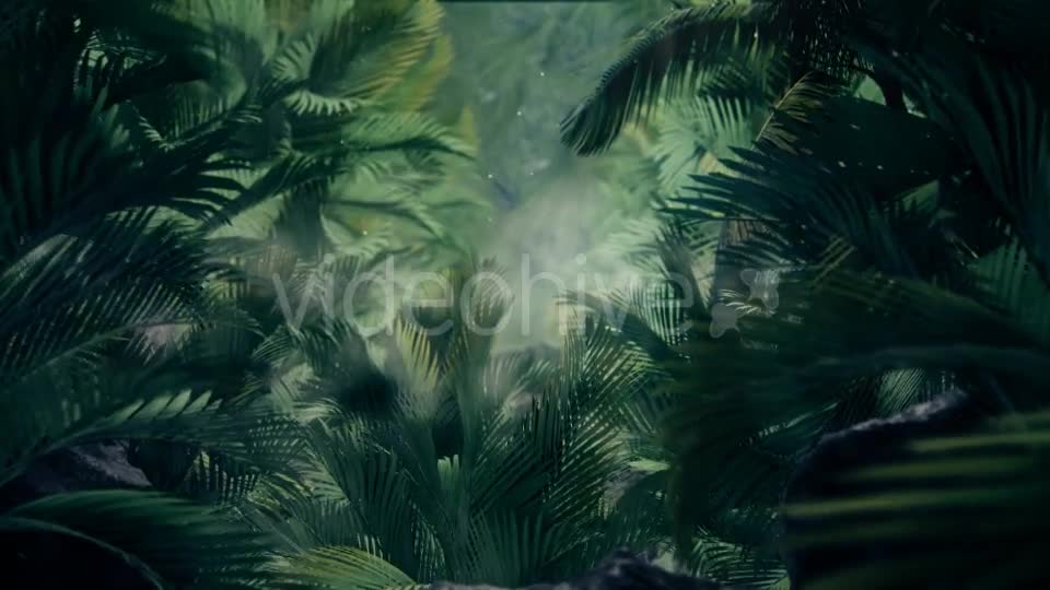 The Palms 5 Videohive 19296318 Motion Graphics Image 1