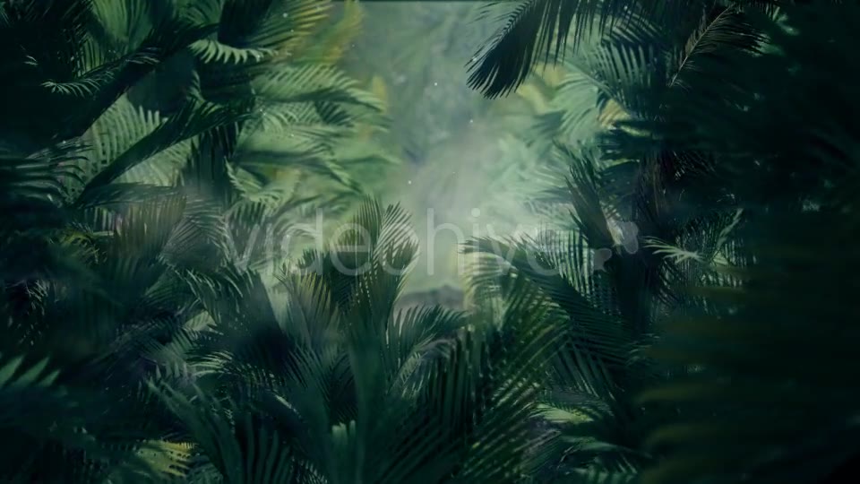 The Palms 5 Videohive 19296318 Motion Graphics Image 2