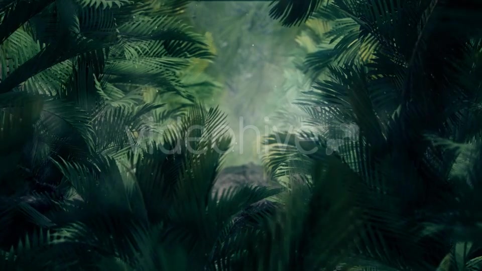 The Palms 5 Videohive 19296318 Motion Graphics Image 3
