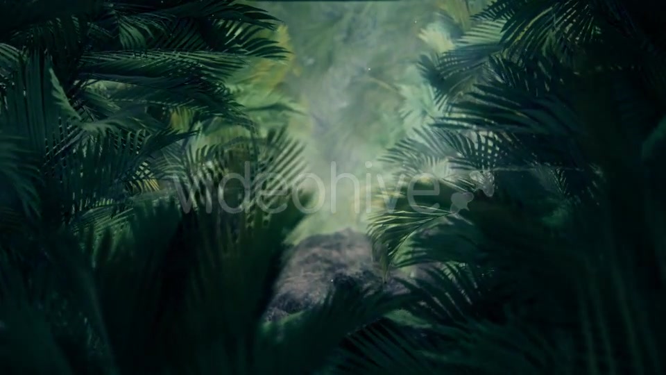The Palms 5 Videohive 19296318 Motion Graphics Image 4