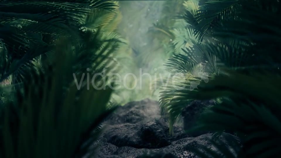 The Palms 5 Videohive 19296318 Motion Graphics Image 5