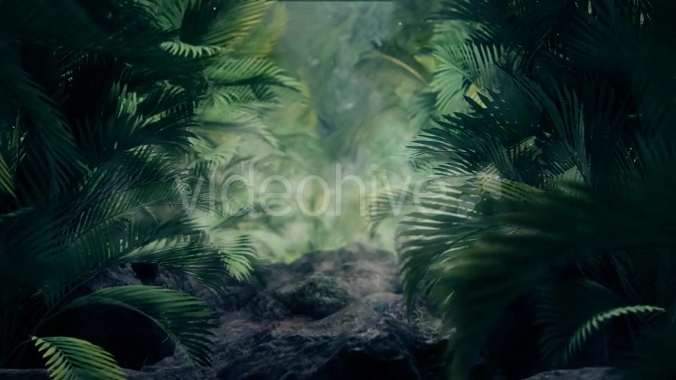 The Palms 5 Videohive 19296318 Motion Graphics Image 6