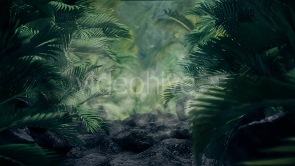 The Palms 5 Videohive 19296318 Motion Graphics Image 7