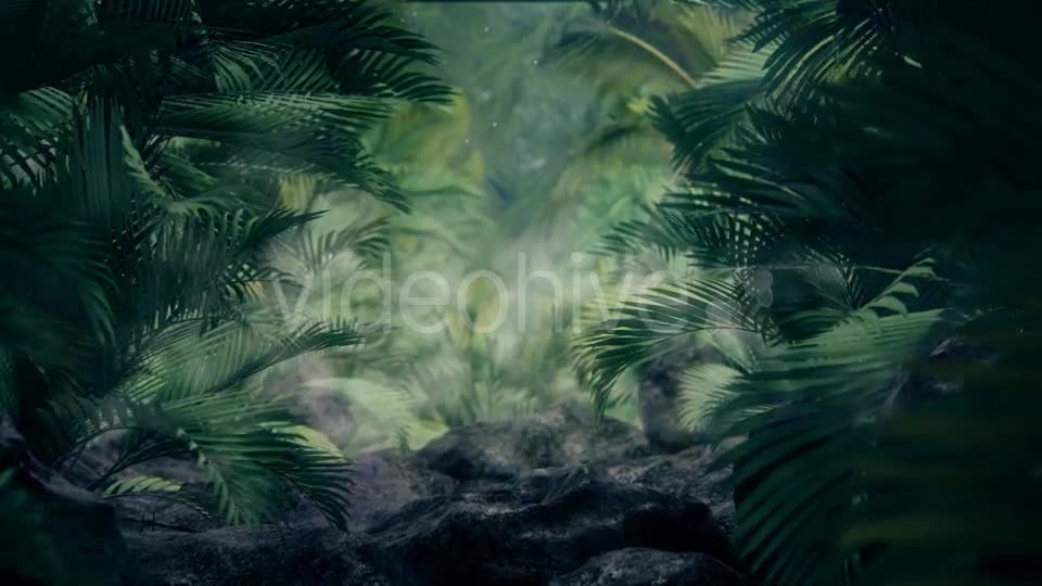 The Palms 5 Videohive 19296318 Motion Graphics Image 8