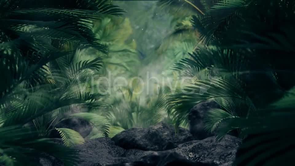 The Palms 5 Videohive 19296318 Motion Graphics Image 9