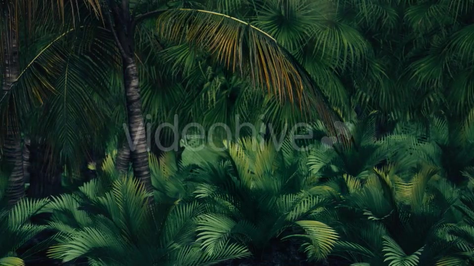 The Palms 7 Videohive 19360412 Motion Graphics Image 3