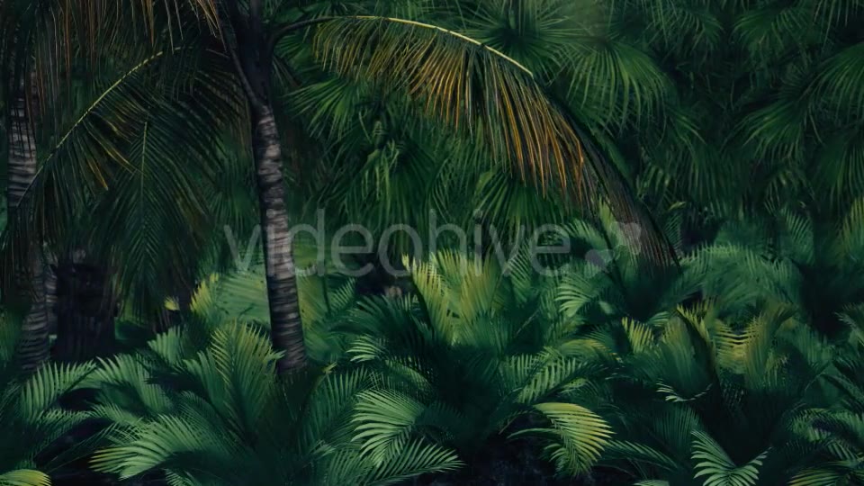 The Palms 7 Videohive 19360412 Motion Graphics Image 8