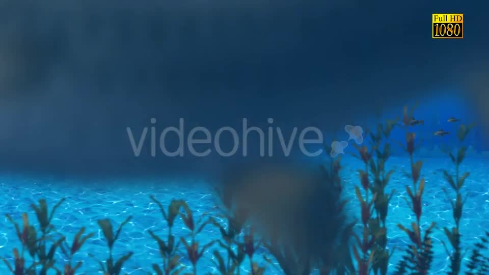 The Paradise Blue Sea Videohive 9348547 Motion Graphics Image 1