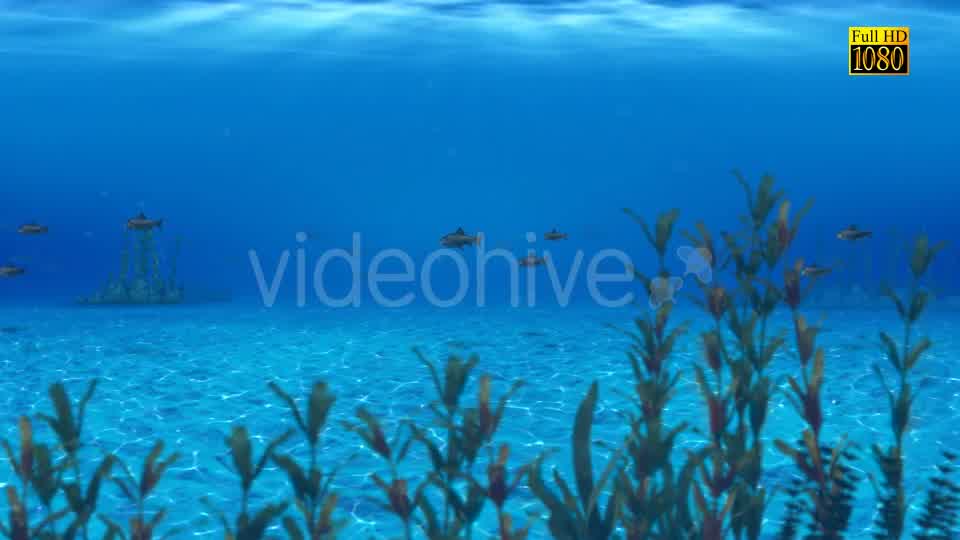 The Paradise Blue Sea Videohive 9348547 Motion Graphics Image 10
