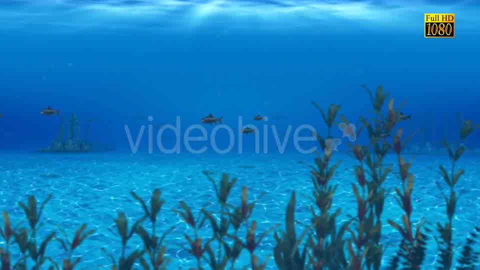 The Paradise Blue Sea Videohive 9348547 Motion Graphics Image 11