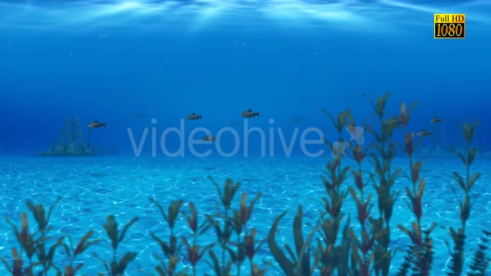 The Paradise Blue Sea Videohive 9348547 Motion Graphics Image 2