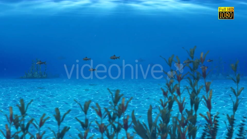 The Paradise Blue Sea Videohive 9348547 Motion Graphics Image 3