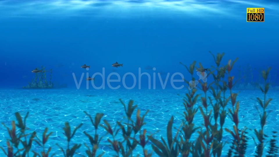 The Paradise Blue Sea Videohive 9348547 Motion Graphics Image 4