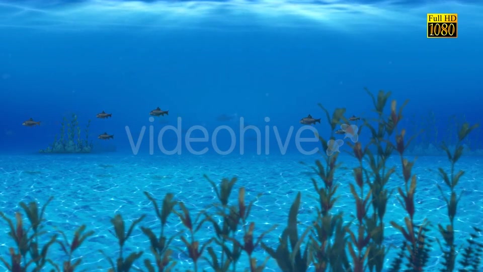 The Paradise Blue Sea Videohive 9348547 Motion Graphics Image 6