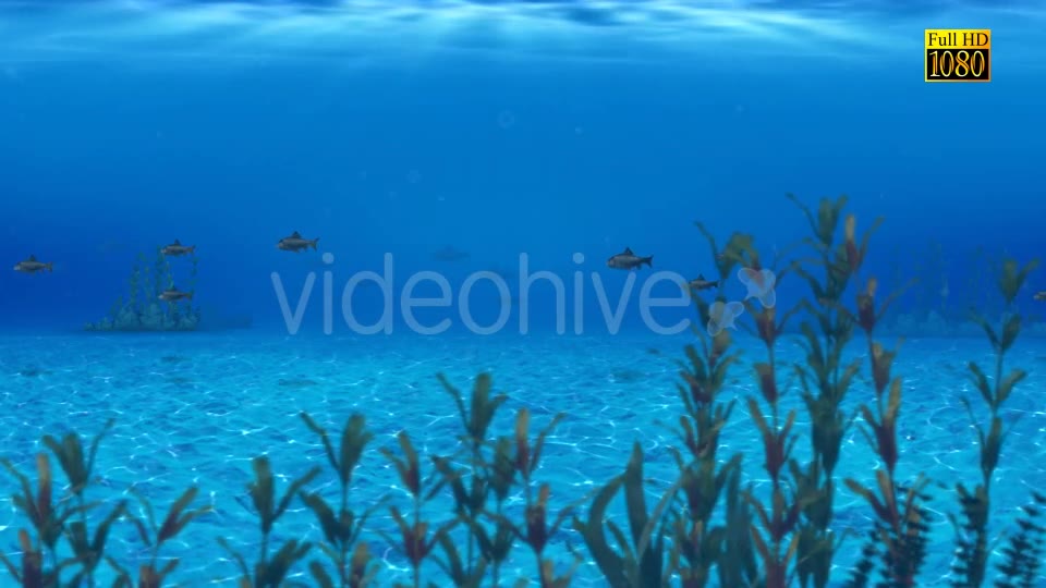 The Paradise Blue Sea Videohive 9348547 Motion Graphics Image 7