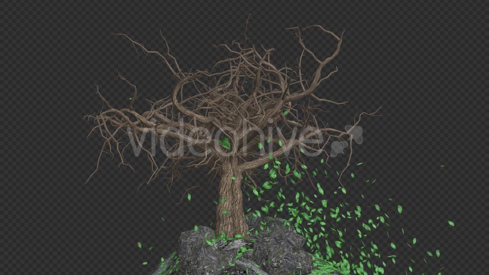 The Tree Grows And Leaves Fall Videohive 20192430 Motion Graphics Image 9