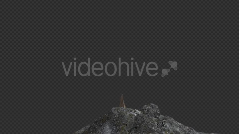 The Tree Grows Rotate And Leaves Fall Videohive 20192440 Motion Graphics Image 1
