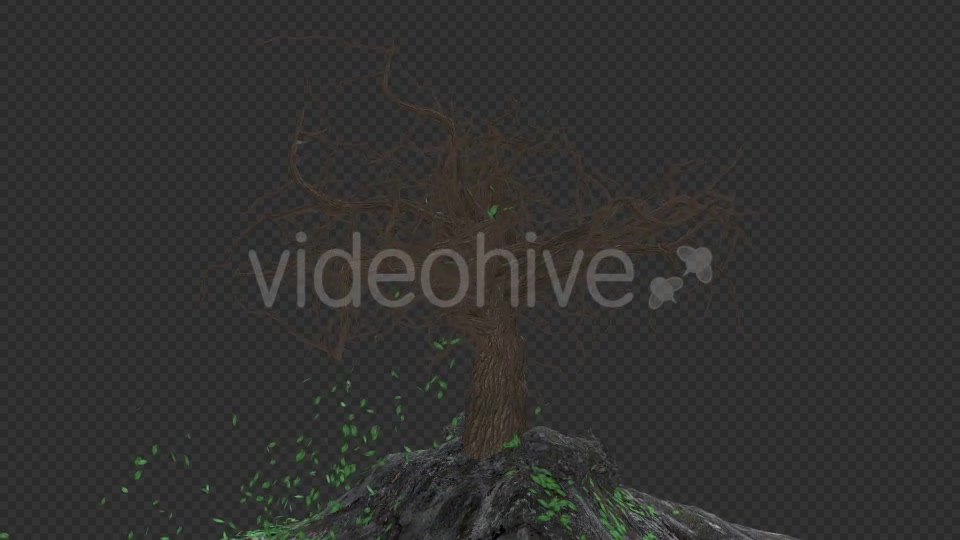 The Tree Grows Rotate And Leaves Fall Videohive 20192440 Motion Graphics Image 10