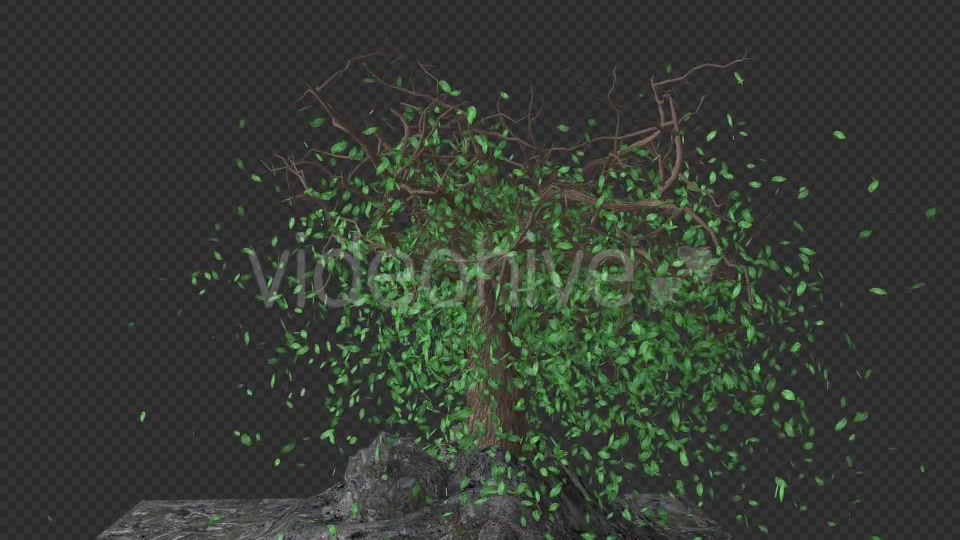 The Tree Grows Rotate And Leaves Fall Videohive 20192440 Motion Graphics Image 6