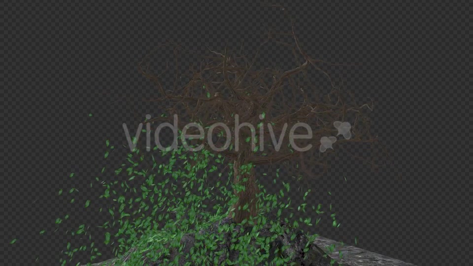 The Tree Grows Rotate And Leaves Fall Videohive 20192440 Motion Graphics Image 8