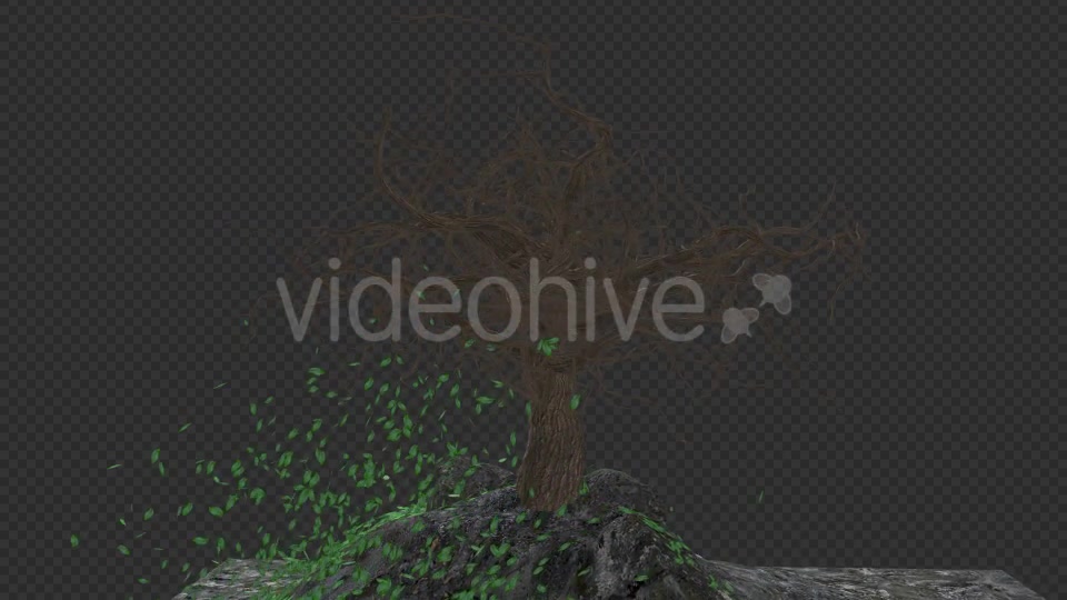 The Tree Grows Rotate And Leaves Fall Videohive 20192440 Motion Graphics Image 9