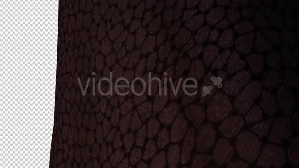 The Witch Walking Videohive 19204129 Motion Graphics Image 10