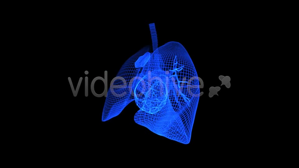 Thorax 3D Wireframe Spinning Formation Videohive 7895918 Motion Graphics Image 10