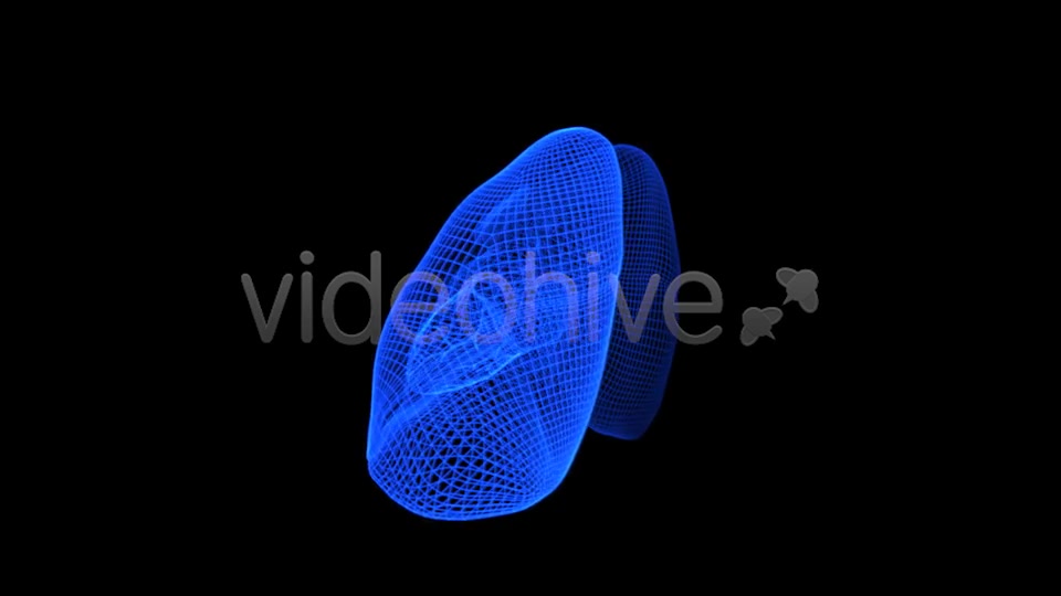 Thorax 3D Wireframe Spinning Formation Videohive 7895918 Motion Graphics Image 2