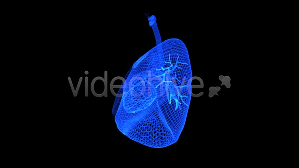 Thorax 3D Wireframe Spinning Formation Videohive 7895918 Motion Graphics Image 6
