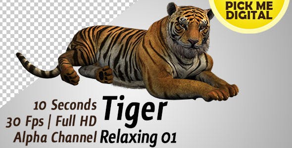 Tiger Relaxing 01 - Videohive Download 19985627