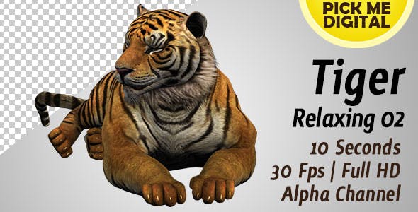 Tiger Relaxing 02 - Videohive Download 19985650