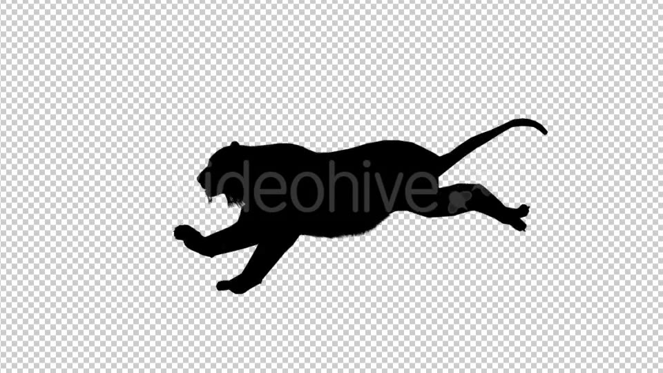 Tiger Silhouette Run Videohive 19199563 Motion Graphics Image 3