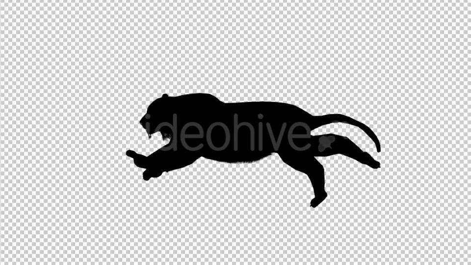Tiger Silhouette Run Videohive 19199563 Motion Graphics Image 4