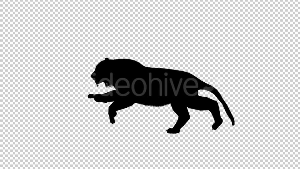 Tiger Silhouette Run Videohive 19199563 Motion Graphics Image 5