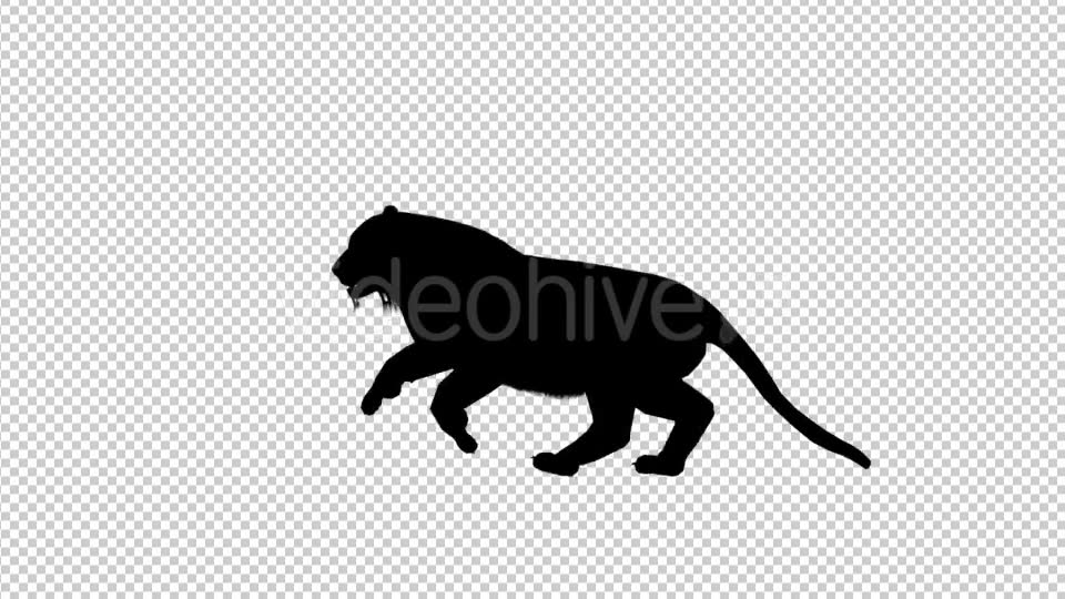 Tiger Silhouette Run Videohive 19199563 Motion Graphics Image 6