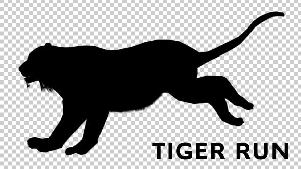 Tiger Silhouette Run - 19199563 Videohive Download